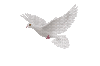 Flying Bird